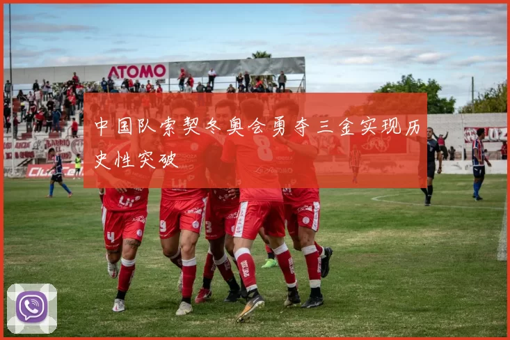 中国队索契冬奥会勇夺三金实现历史性突破