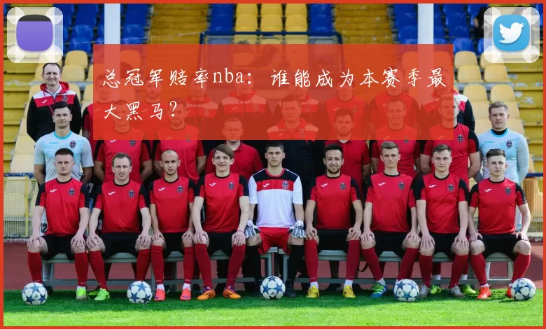 总冠军赔率nba：谁能成为本赛季最大黑马？