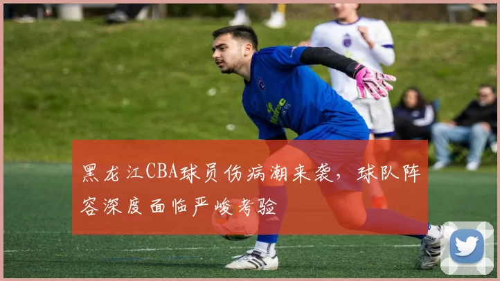 黑龙江CBA球员伤病潮来袭,球队阵容深度面临严峻考验