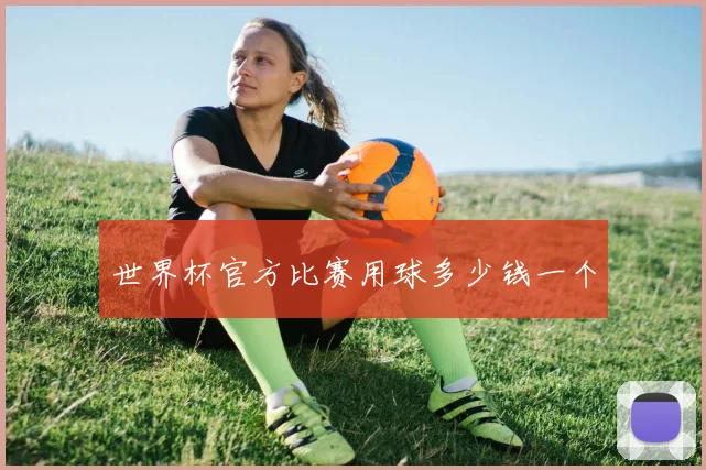 世界杯官方比赛用球多少钱一个