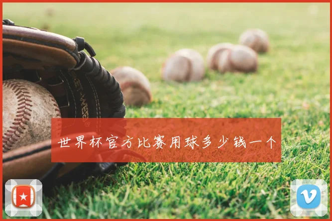 世界杯官方比赛用球多少钱一个