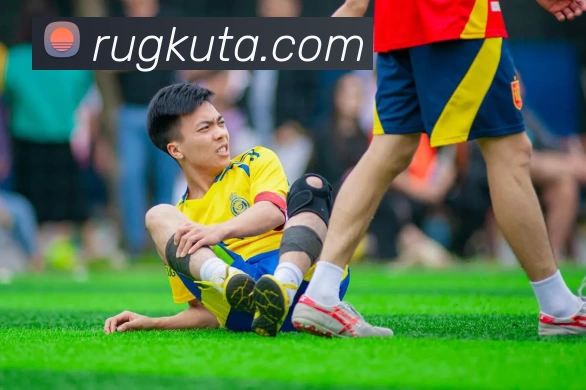 乐鱼官方体育app登录平台生态图